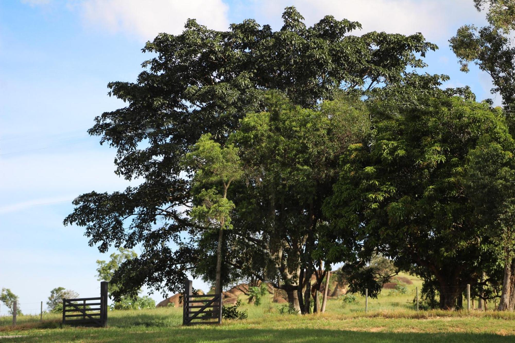 Limoeiro Da Concordia Hotel Fazenda De Charme Кабреува Екстер'єр фото